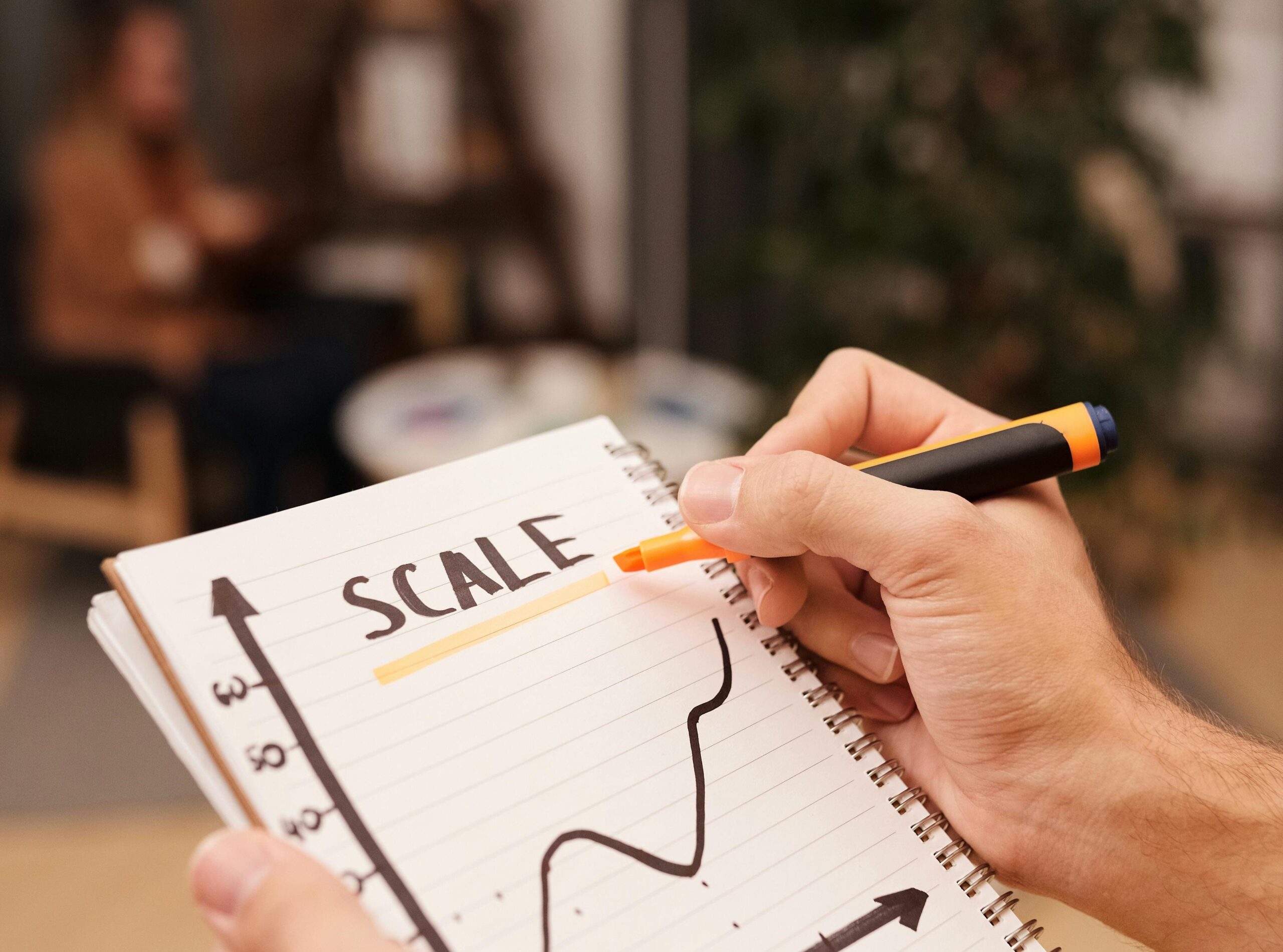 How Businesses Scale Up with Success